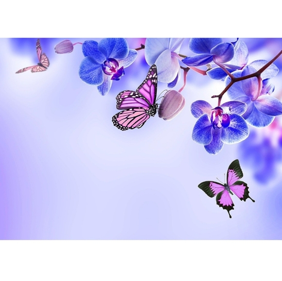 Other - Purple and‎ Pink Butterfly Orchid Art